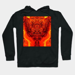 Enlightened Hoodie